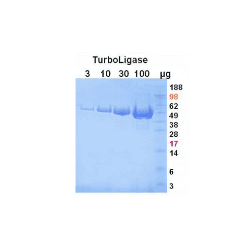 turboligation-kit