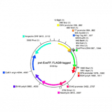 vs-flp10020-vector-map