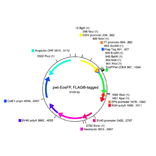 vs-flp10020-vector-map