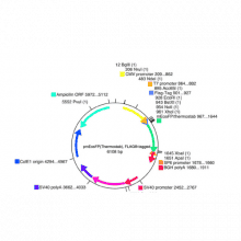 vs-flp10040-vector-map