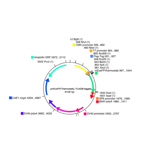 vs-flp10040-vector-map