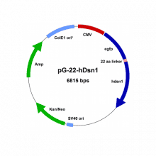 vs-msv00001-vector-map