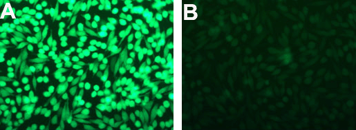 LL70500 results fig1