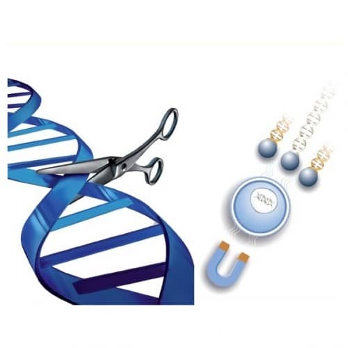 polymag-crispr-transfection-reagent