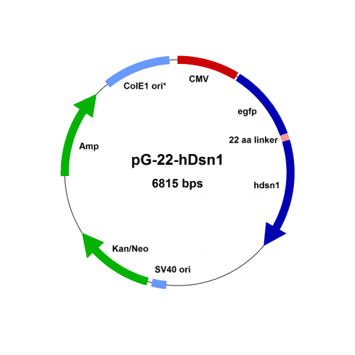 vs-msv00001-vector-map